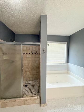 6924 Long Needles Drive, Charlotte, NC 28277