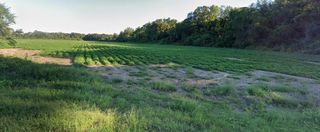 1792 County Road 74, Malvern, AL 36375