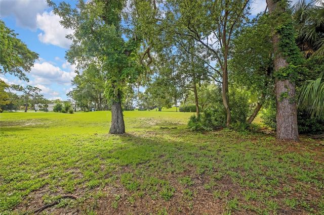 8480 MAYBELLE DRIVE, Weeki Wachee, FL 34613