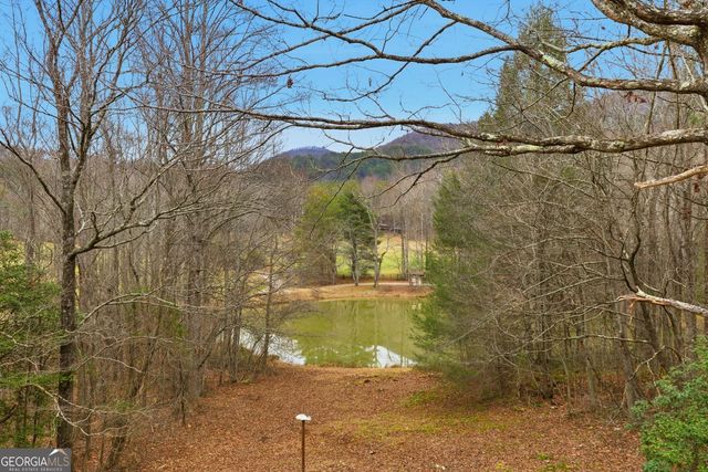 61 Bear Ridge Road, Cleveland, GA 30528
