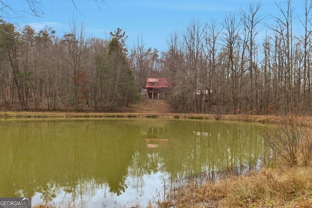 61 Bear Ridge Road, Cleveland, GA 30528