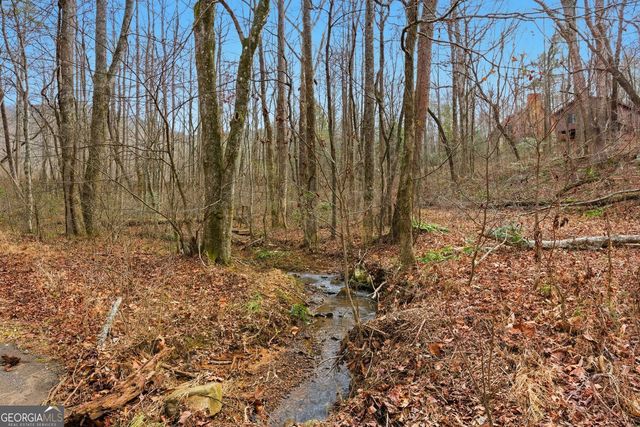 61 Bear Ridge Road, Cleveland, GA 30528