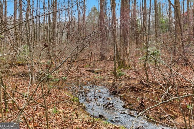 61 Bear Ridge Road, Cleveland, GA 30528