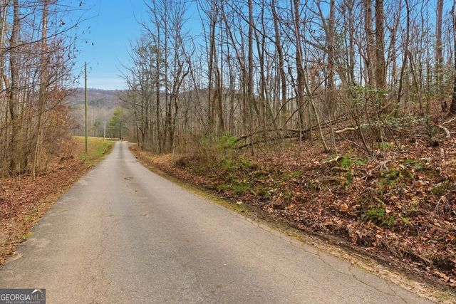 61 Bear Ridge Road, Cleveland, GA 30528