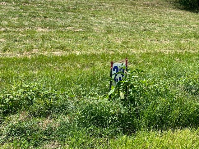 Tract 23 Hawk Landing Road, London, KY 40741