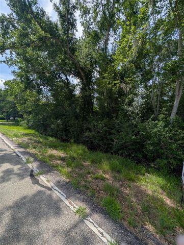 000 Oak Forest Street, Brazoria, TX 77422