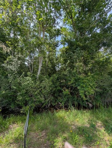 000 Oak Forest Street, Brazoria, TX 77422