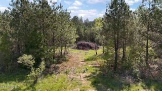 290 Mt. Helm Road, Brandon, MS 39047