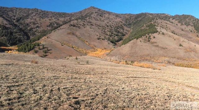 3675 Obrien Drive, Island Park, ID 83429