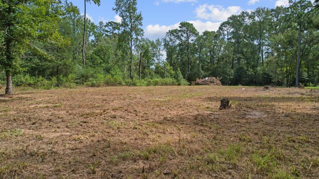 TBD Lake Forest Dr, Livingston, TX 77351