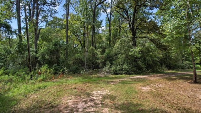 TBD Lake Forest Dr, Livingston, TX 77351