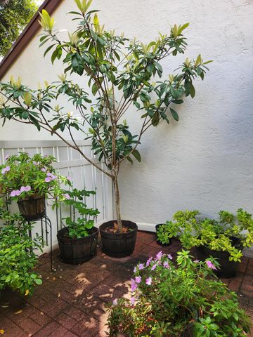 3226 S Carambola Cir S S, Coconut Creek, FL 33066