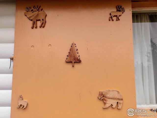 121 Pine Nut Lane, Red Feather Lakes, CO 80545