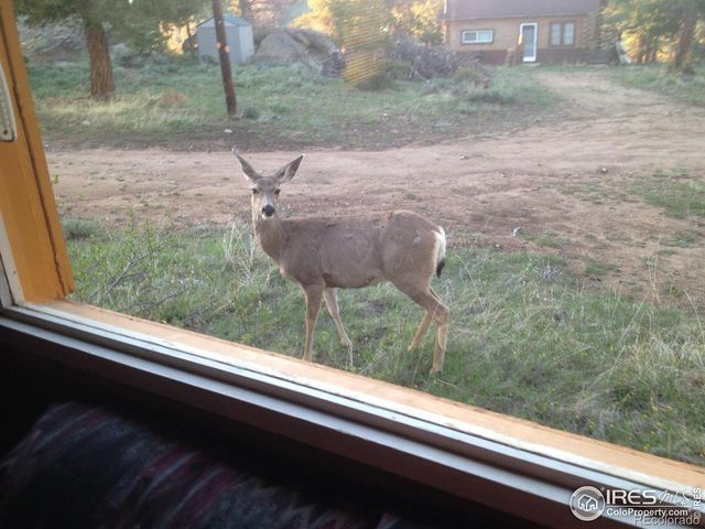 121 Pine Nut Lane, Red Feather Lakes, CO 80545
