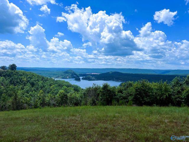LOT 210 County Road 767, Cedar Bluff, AL 35959