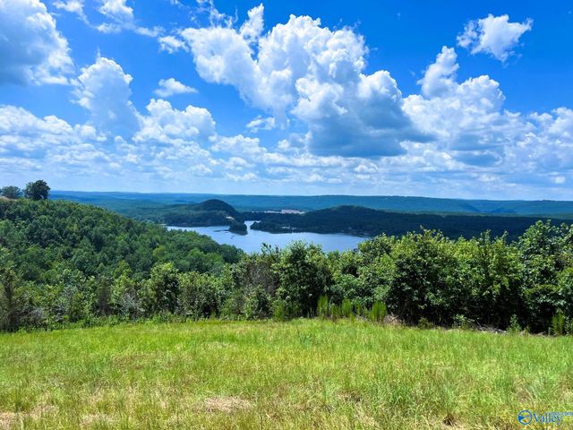 LOT 210 County Road 767, Cedar Bluff, AL 35959