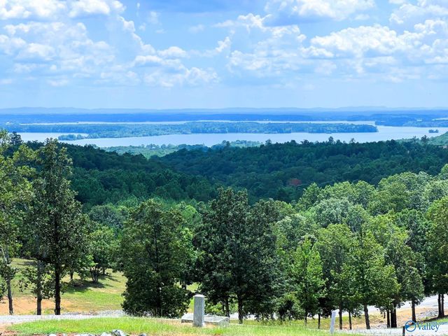 LOT 210 County Road 767, Cedar Bluff, AL 35959