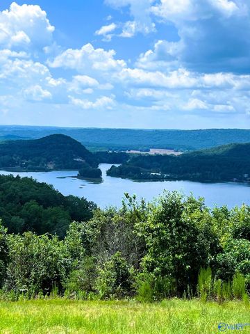 LOT 210 County Road 767, Cedar Bluff, AL 35959