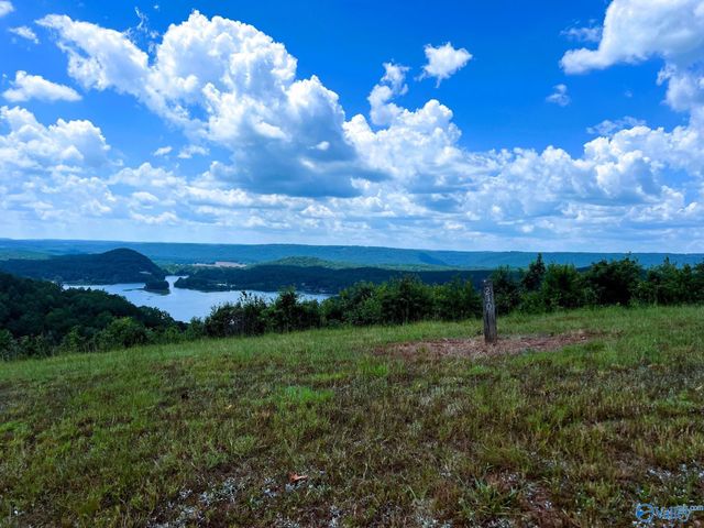 LOT 210 County Road 767, Cedar Bluff, AL 35959