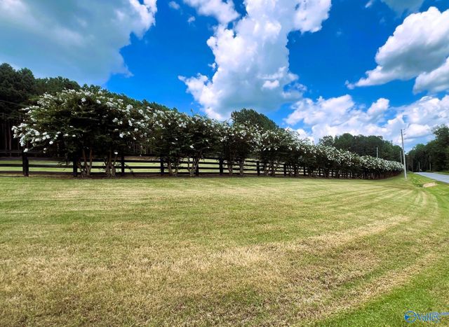 LOT 210 County Road 767, Cedar Bluff, AL 35959