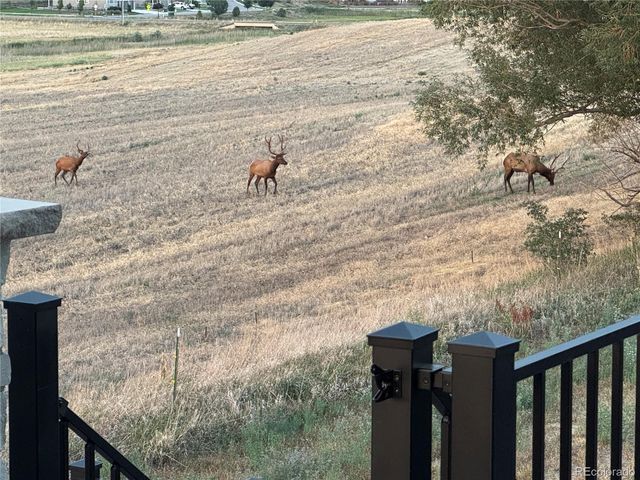 1498 Art Drive, Berthoud, CO 80513