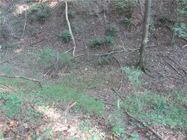 2643 Roberts Chapel Road, Goldston, NC 27252