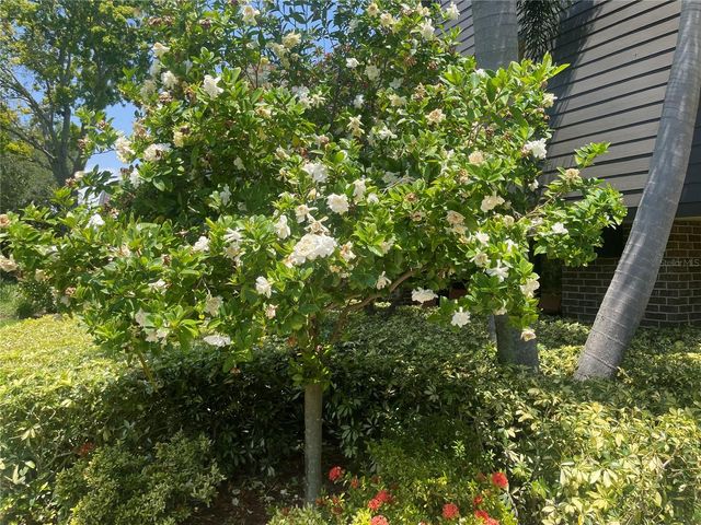 36750 US HIGHWAY 19 N 15-308, Palm Harbor, FL 34684