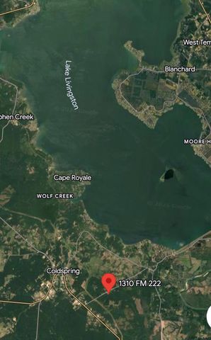 1308 Fm 222 Loop, Coldspring, TX 77331