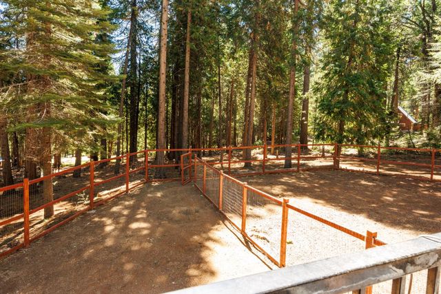21063 Sierra Circle Dr, Pioneer, CA 95666