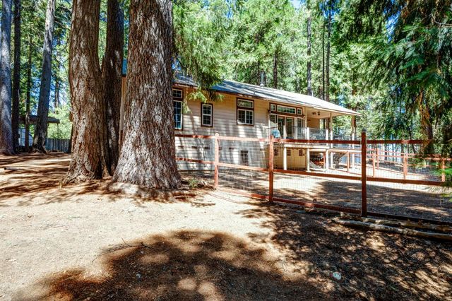 21063 Sierra Circle Dr, Pioneer, CA 95666