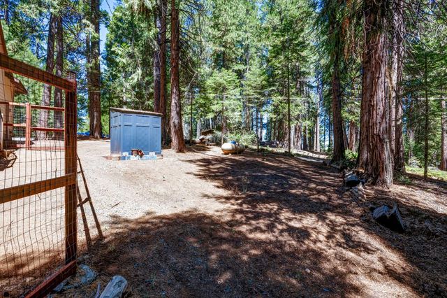 21063 Sierra Circle Dr, Pioneer, CA 95666