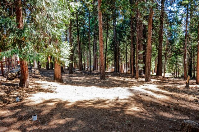 21063 Sierra Circle Dr, Pioneer, CA 95666
