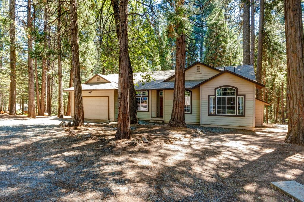 21063 Sierra Circle Dr, Pioneer, CA 95666