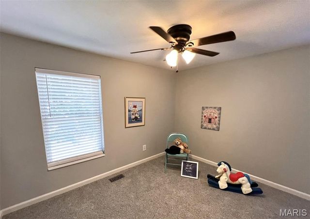 703 Holland Avenue, Webster Groves, MO 63119