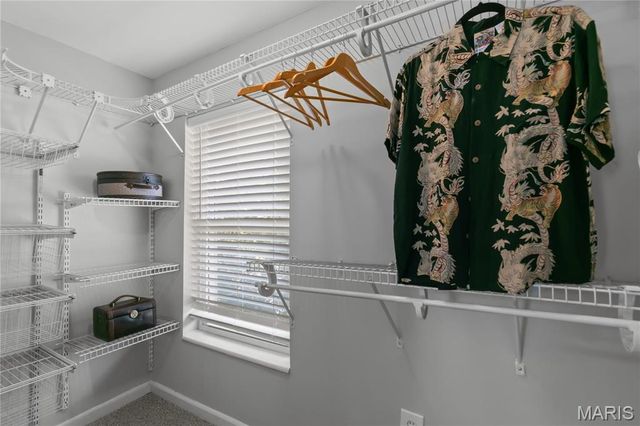 703 Holland Avenue, Webster Groves, MO 63119