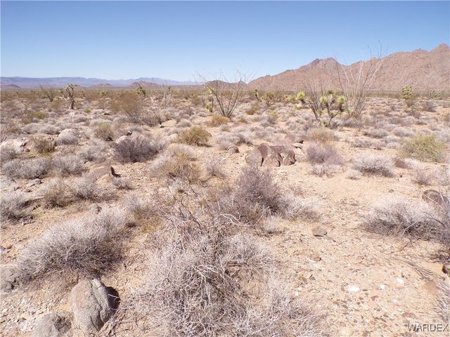 Lot 11 Leisure Road, Yucca, AZ 86438