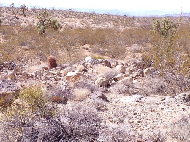 Lot 11 Leisure Road, Yucca, AZ 86438