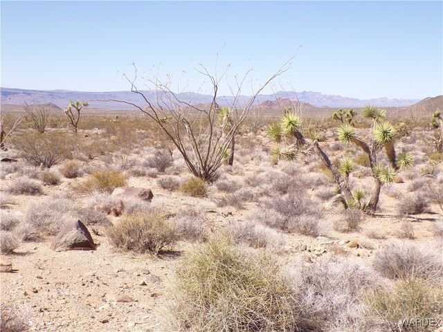 Lot 11 Leisure Road, Yucca, AZ 86438