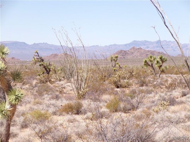 Lot 11 Leisure Road, Yucca, AZ 86438