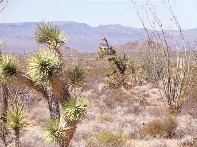 Lot 11 Leisure Road, Yucca, AZ 86438