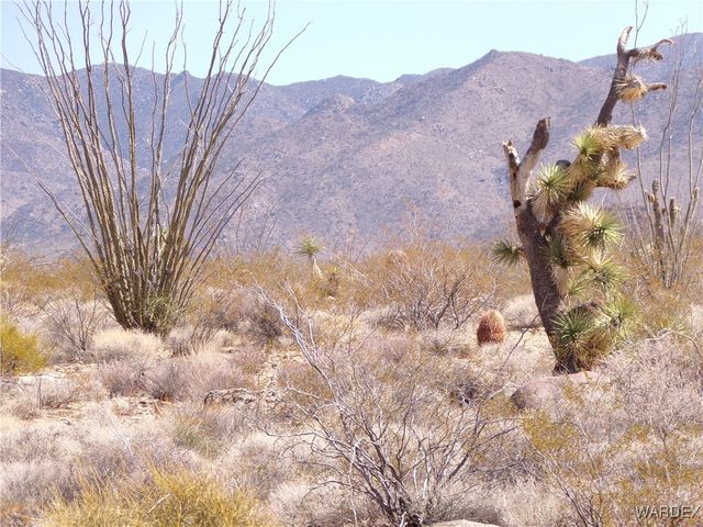 Lot 11 Leisure Road, Yucca, AZ 86438