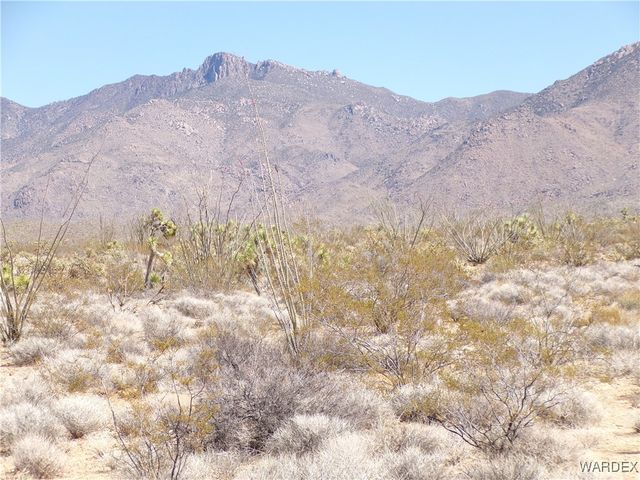 Lot 11 Leisure Road, Yucca, AZ 86438