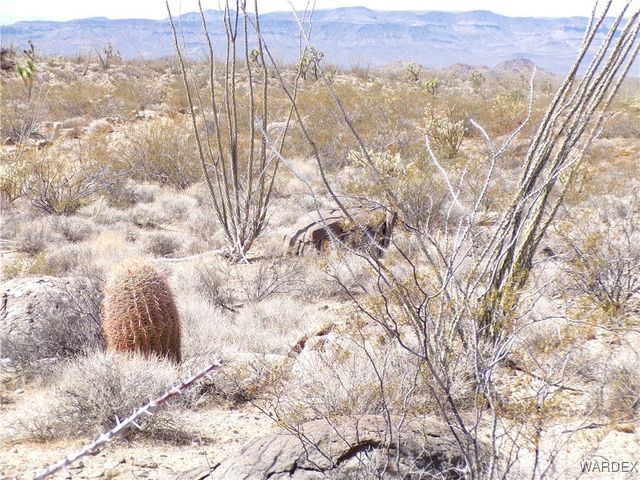 Lot 11 Leisure Road, Yucca, AZ 86438