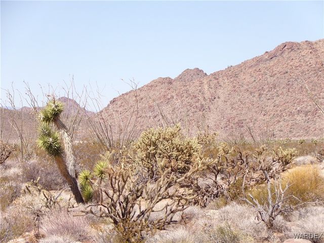Lot 11 Leisure Road, Yucca, AZ 86438