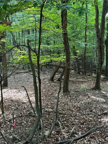 1225 Oglethorpe Road, Jasper, GA 30143