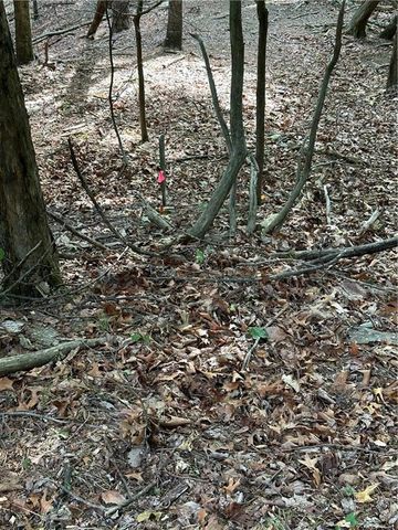 1225 Oglethorpe Road, Jasper, GA 30143