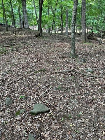 1225 Oglethorpe Road, Jasper, GA 30143