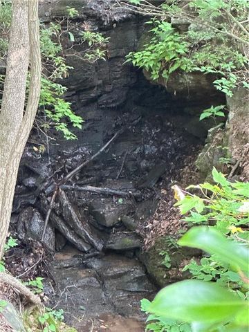 1225 Oglethorpe Road, Jasper, GA 30143