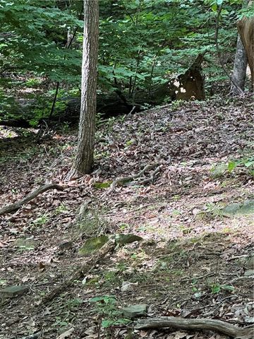 1225 Oglethorpe Road, Jasper, GA 30143