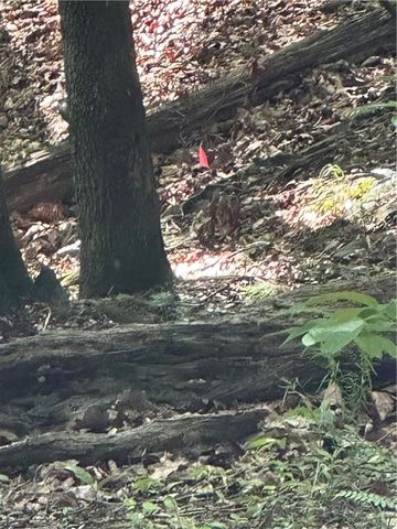 1225 Oglethorpe Road, Jasper, GA 30143